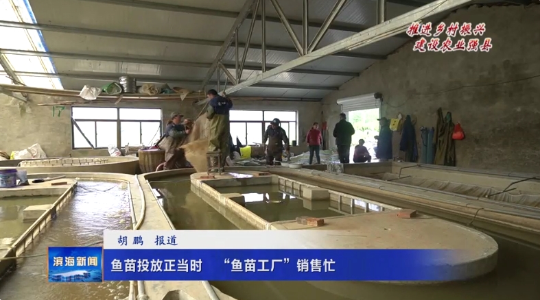【推進鄉(xiāng)村振興?建設農業(yè)強縣】魚苗投放正當